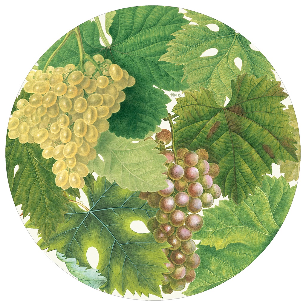 Sets de Table, Arbor 1106PPRN