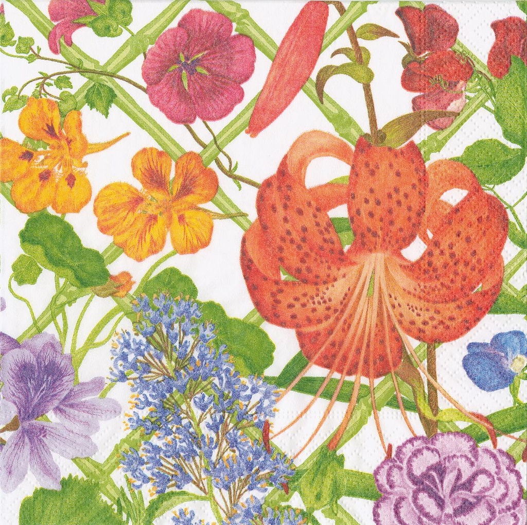 Serviettes Cocktail Floral trellis