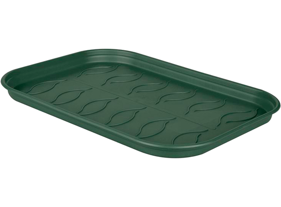 Green Basics Plat Cult Soucoupe S