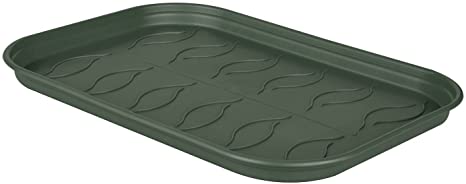 Green Basics Plat Cult Soucoupe L
