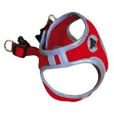 Hiking harness reflective l red