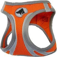 Hiking harness reflective xs orange