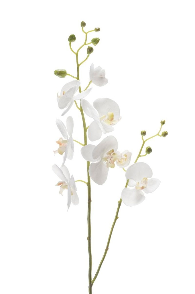 Phalaenopsis 2 branches artificiel