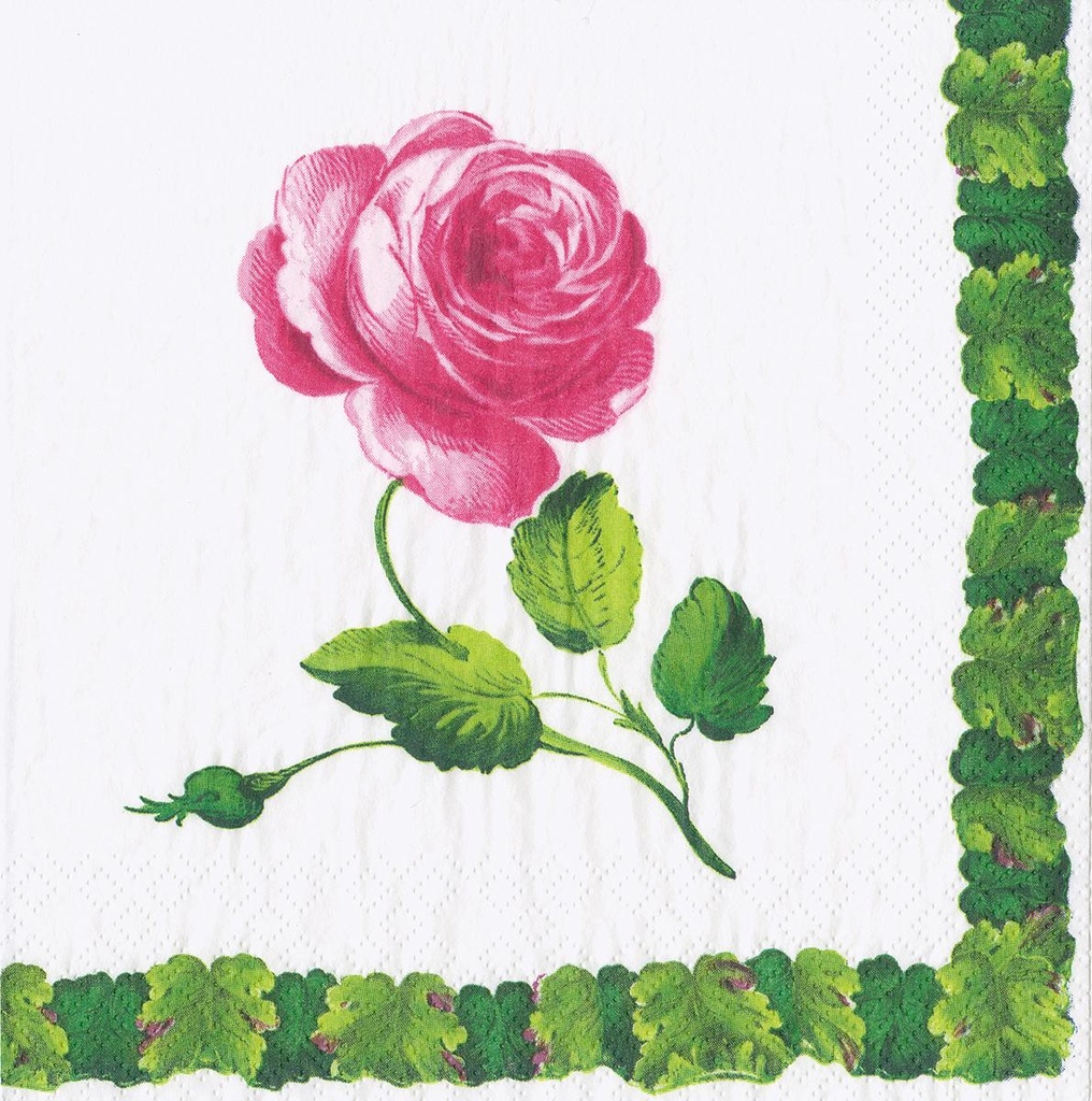 Serviettes Cocktail Scraux chic 