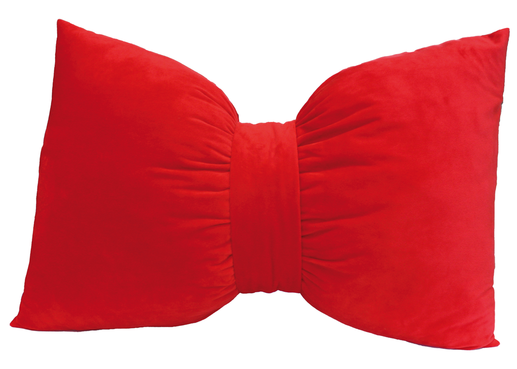 Coussin chien nœud Noël