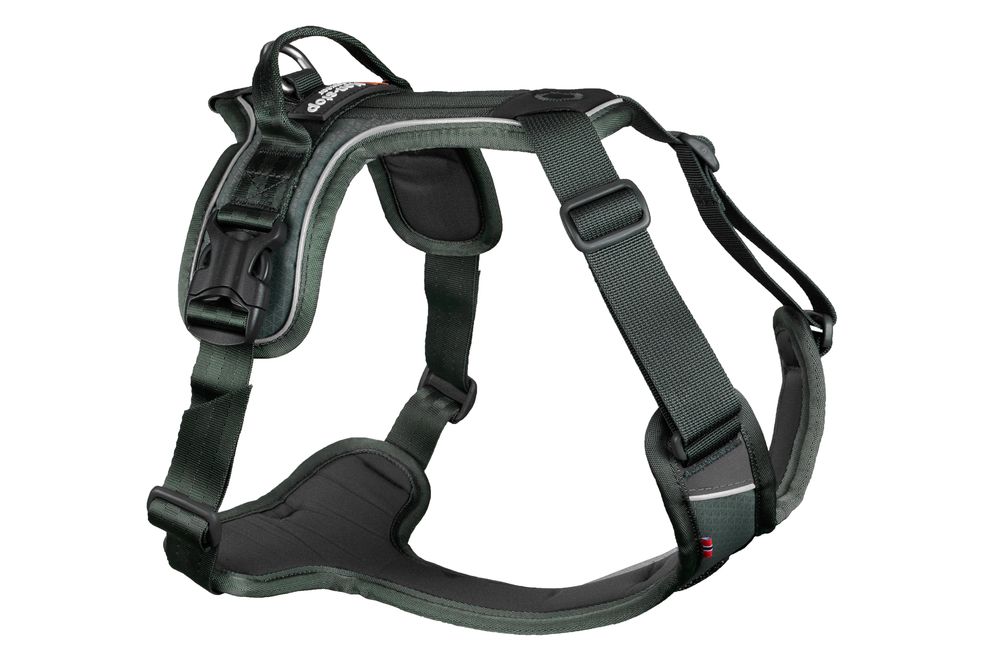 Ramble Harness S