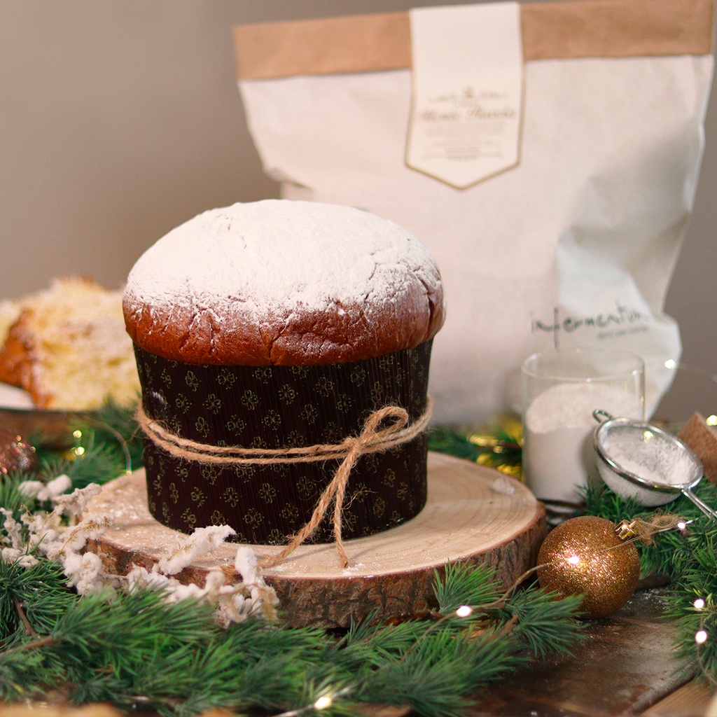 Pandoro MONTE NUVOLA Infermentum