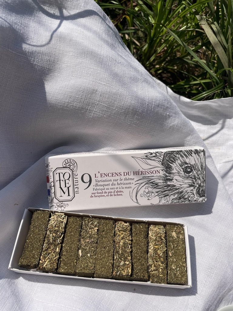 Encens du Hérisson: rameaux d'abies, fougère aigle, bruyère, lichen