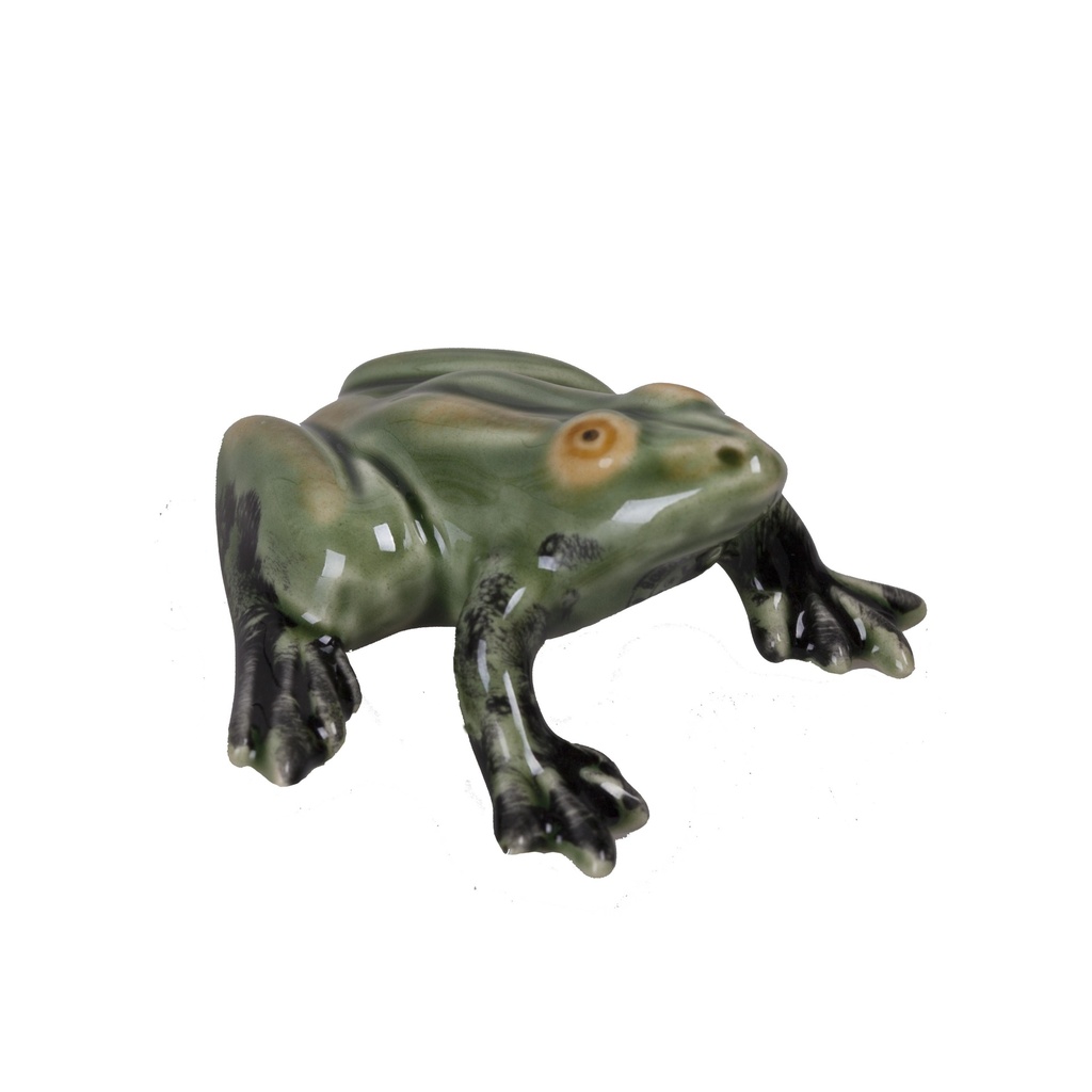 Grenouille assise Acces.
