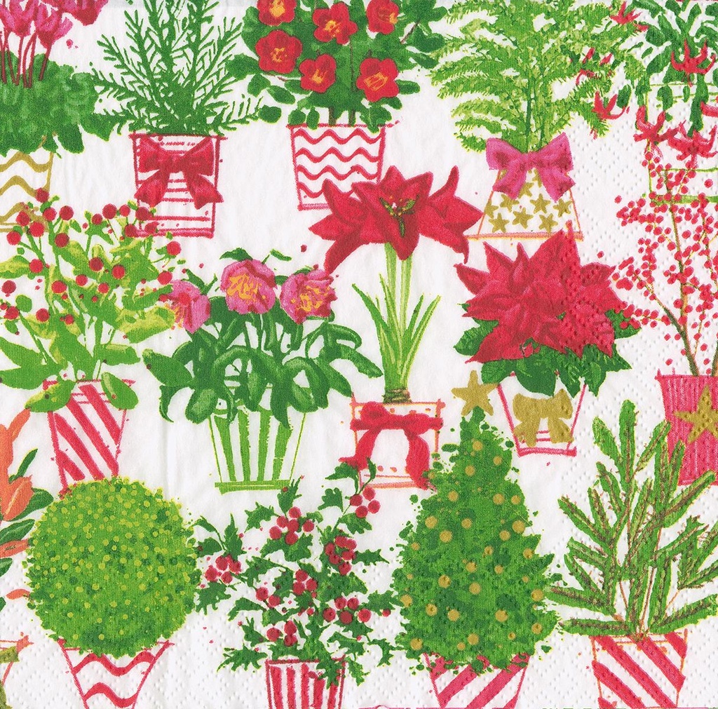 Serviette Cocktail Christmas flower market