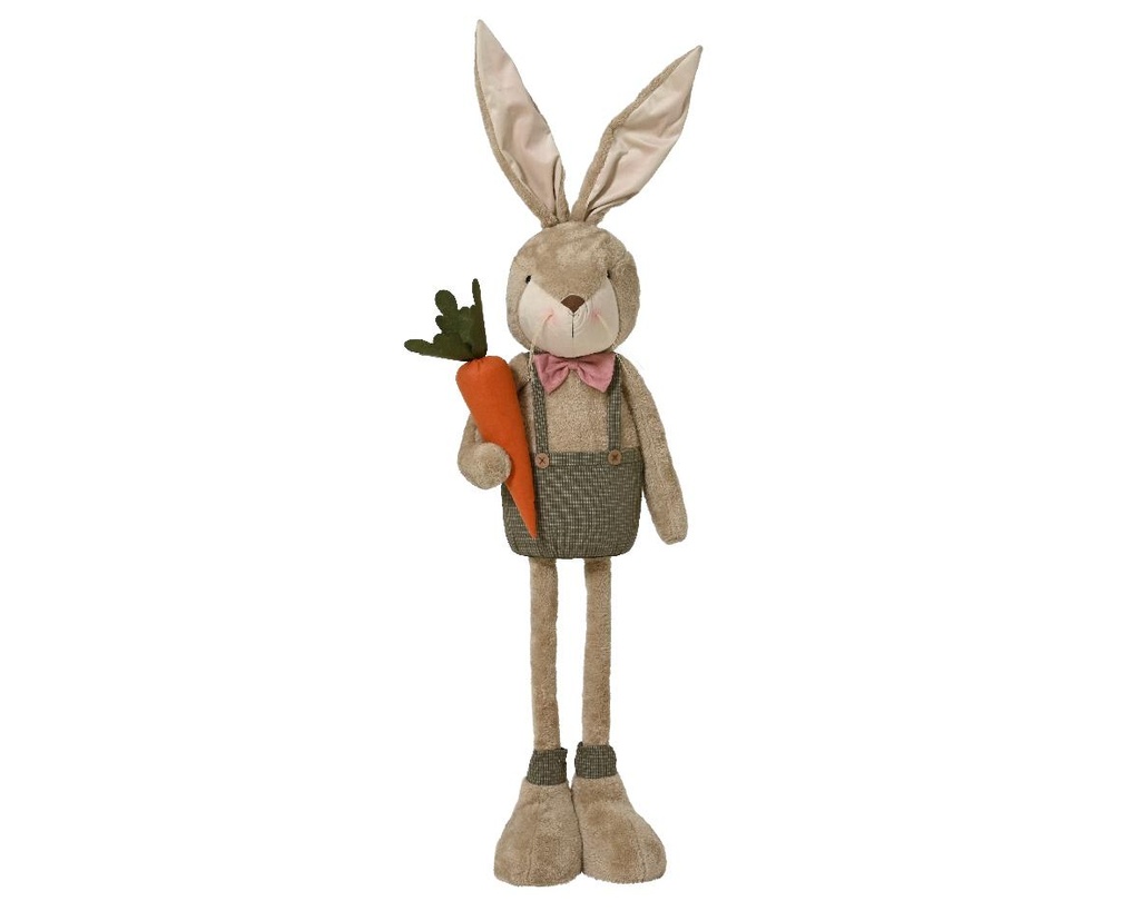 Lapin avec carotte