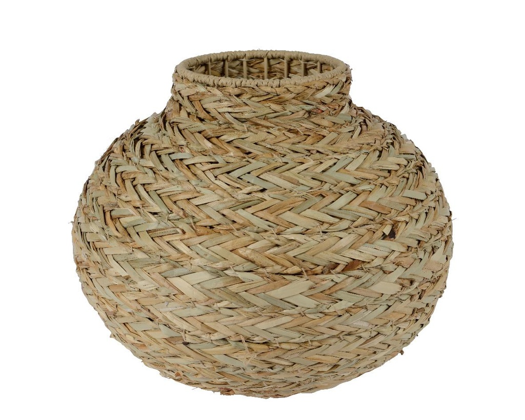 Vase en herbe marine