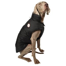 MANTEAU DOG NOIR 25XS