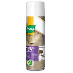 Wesp - Ex 500 Ml Aerosol