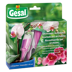 Revitalisant orchidées