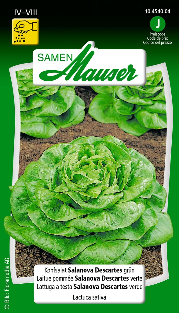 Laitue pom. Salanova  Descartes  verte