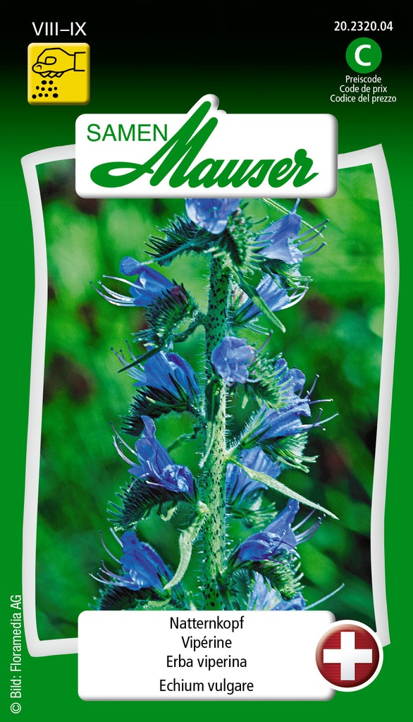 Semence Vipérine bleue