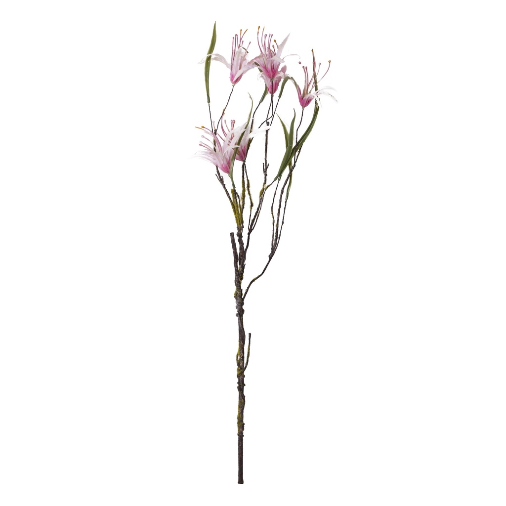 Nerine en branche artificielle