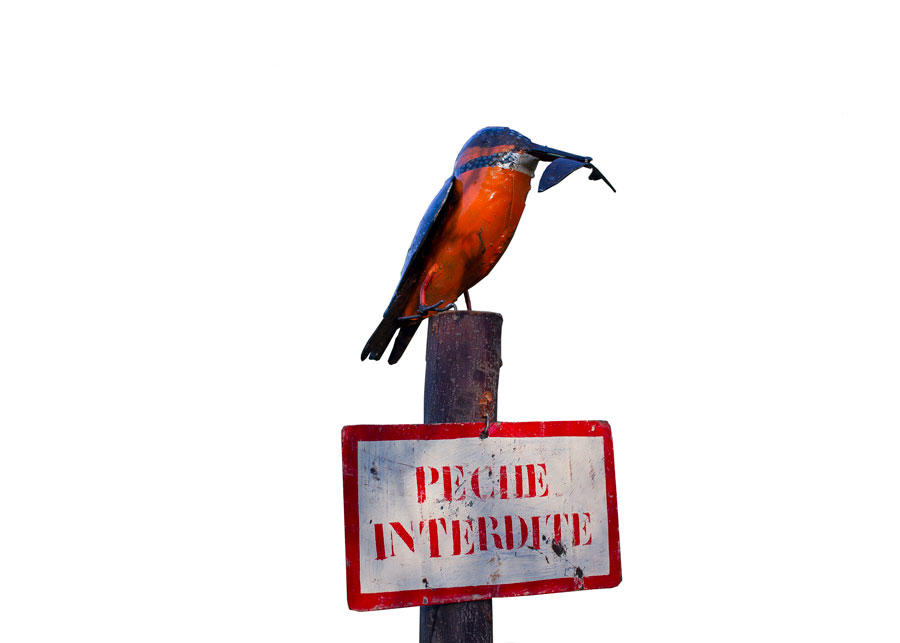 M. Pecheur Peche Interdite