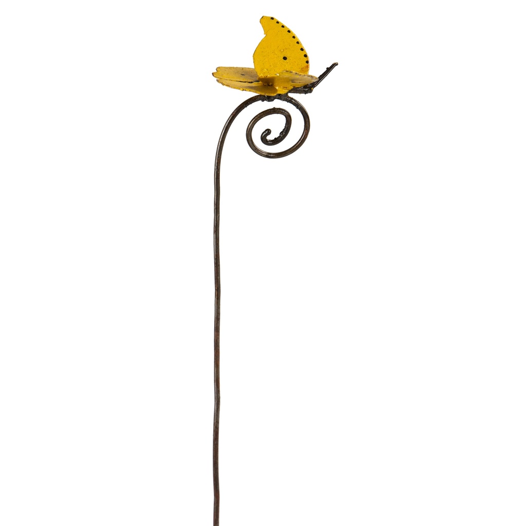 Papillon Citron de Provence