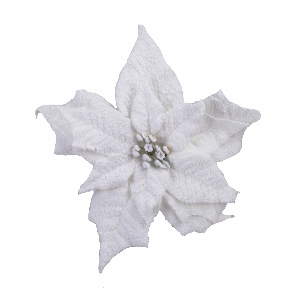 Poinsettia sur clip enneigé artificiel