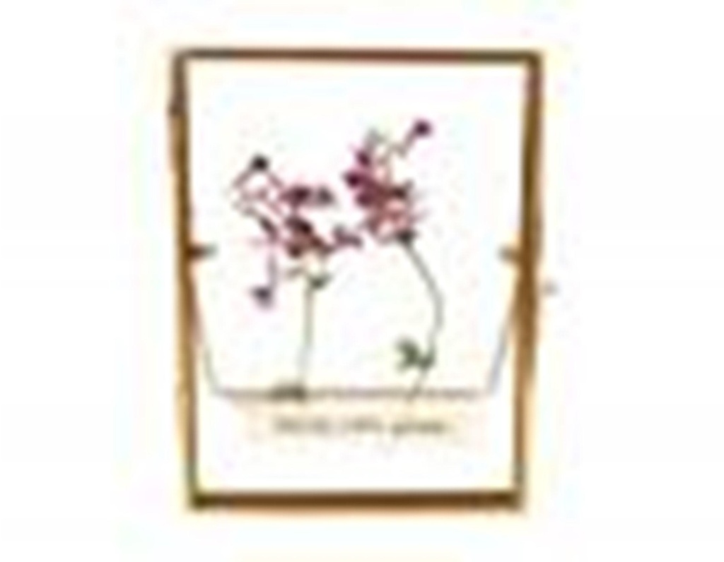 Cadre entre 2v fleurs rect. 154T15-0