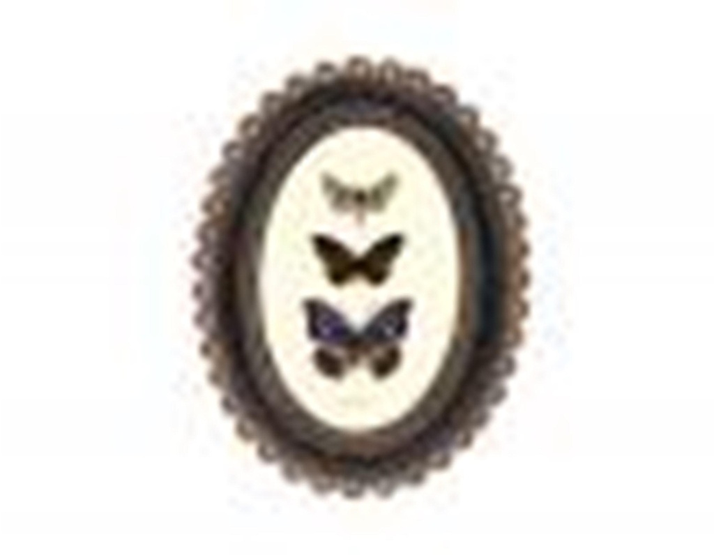 Cadre fleur 729T15-0