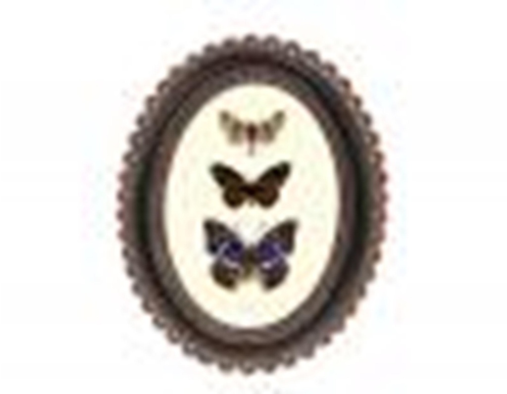 Cadre fleur 729T18-0