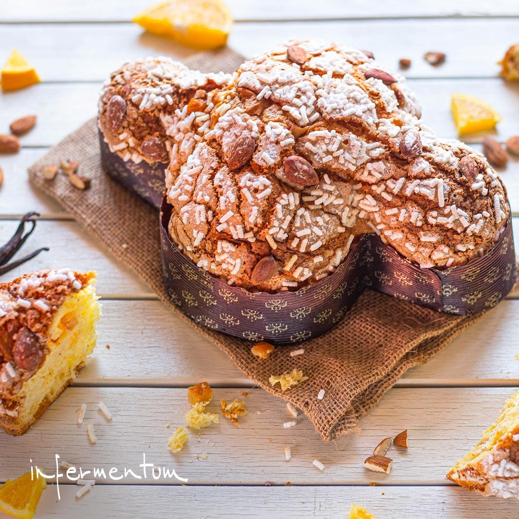 Colombe de Pâques Traditionnelle Infermentum