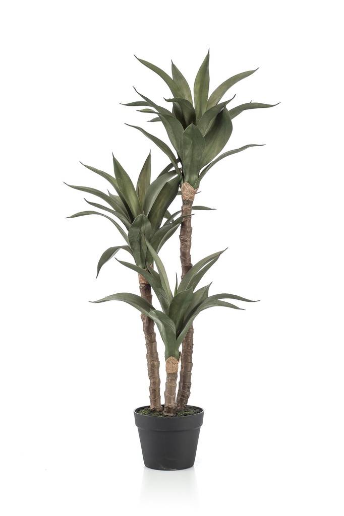 Agave 3 troncs artificiel