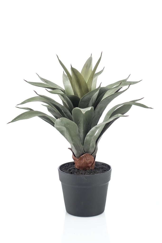 Agave en pot artificiel