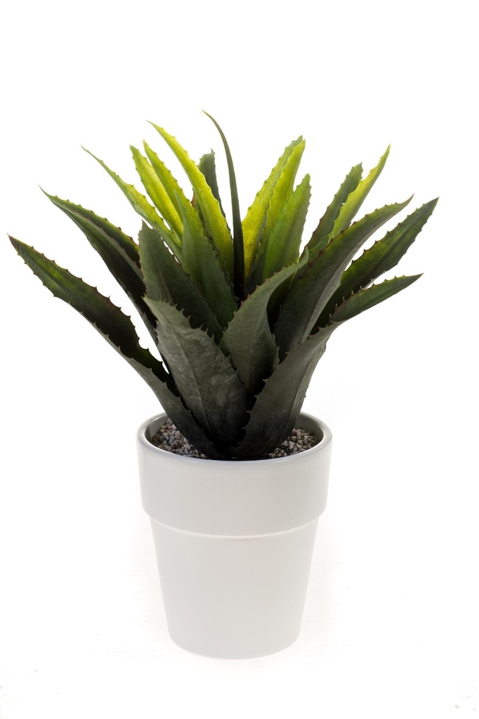 Agave en pot blanc artificielle