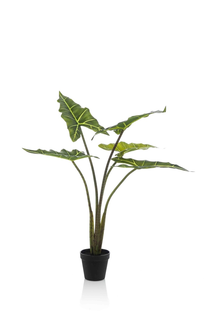 Alocasia Frydek artificiel