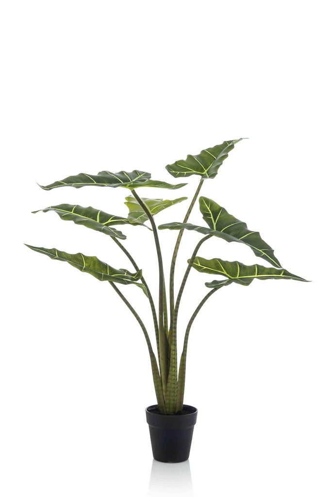 Alocasia Frydek artificiel