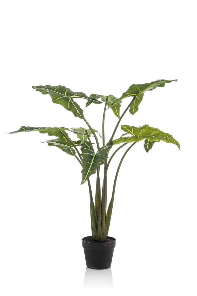 Alocasia Frydek artificiel