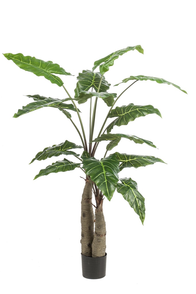 Alocasia géant artificiel