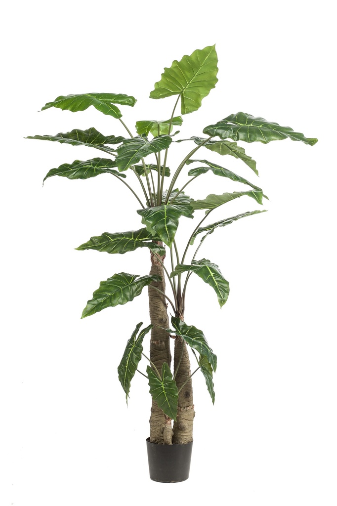 Alocasia géant artificiel