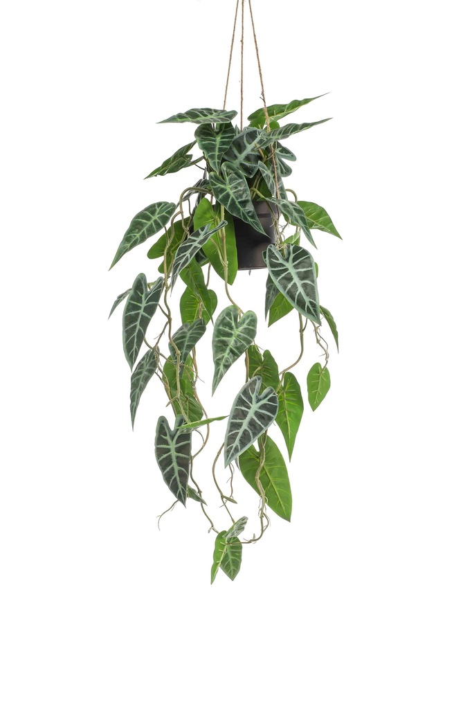 Alocasia maculata à suspendre artificiel