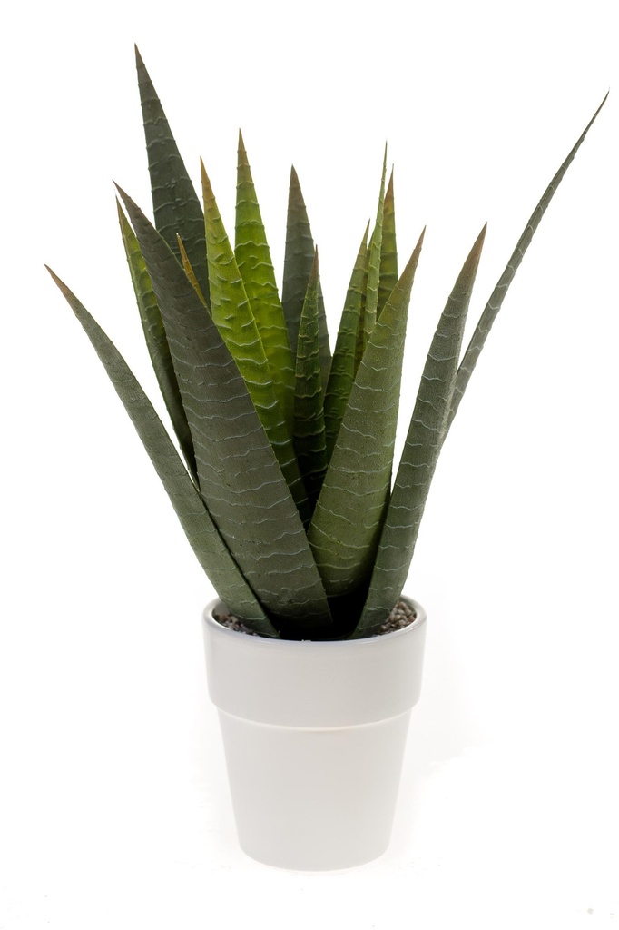 Aloe en pot blanc artificielle
