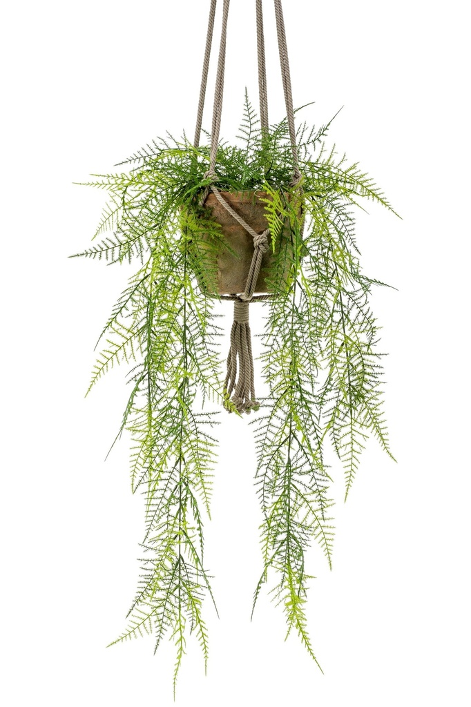 Asparagus plumosus à suspendre avec pot antique artificiel