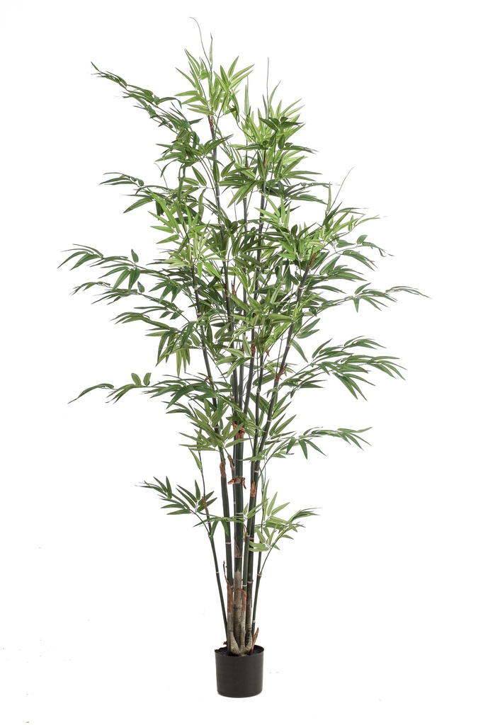 Bambou noir artificiel
