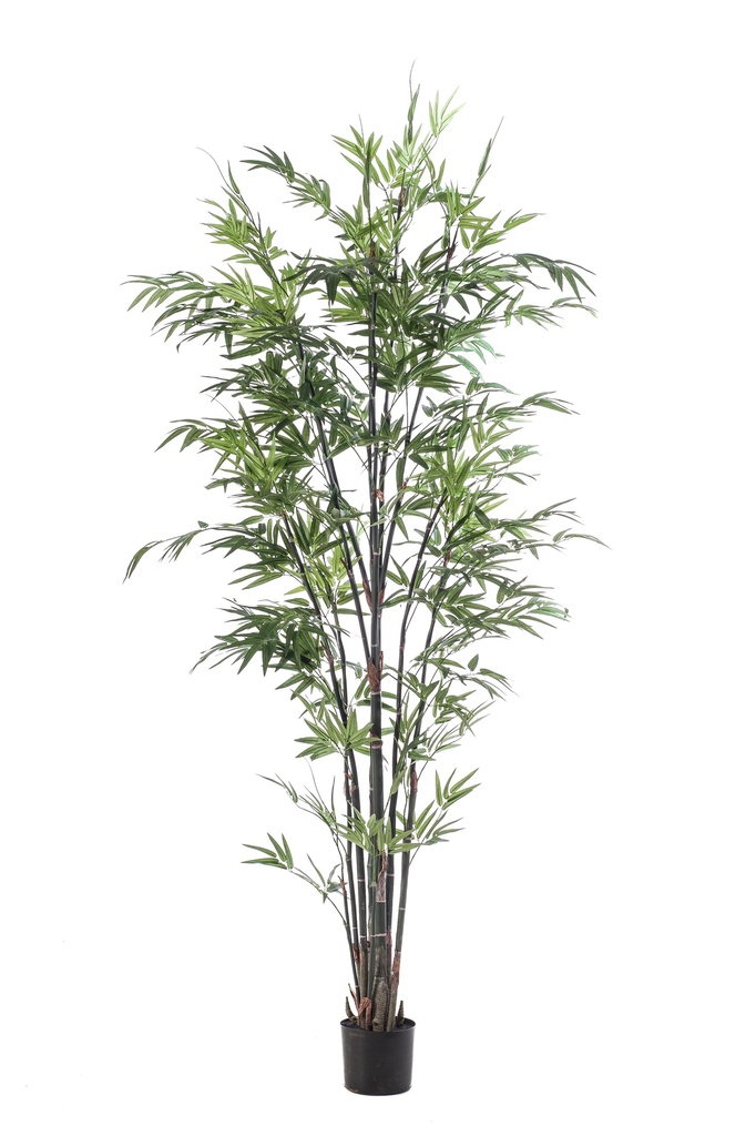 Bambou noir artificiel
