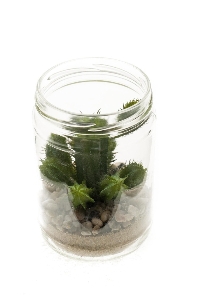 Cactus pot en verre artificiel