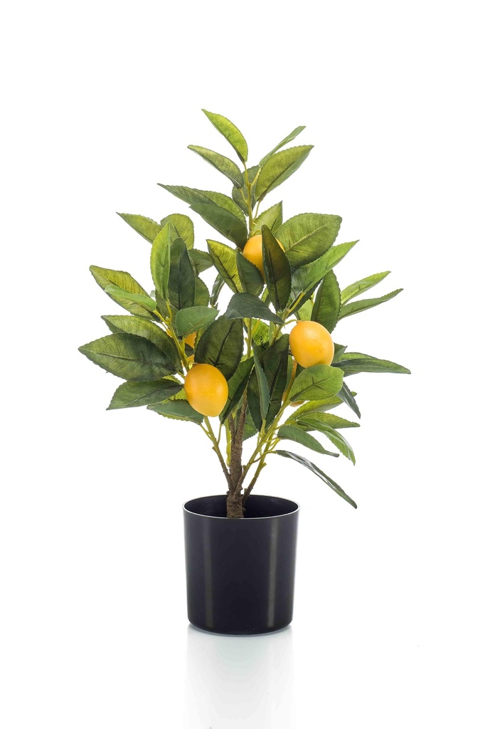 Citronnier artificiel