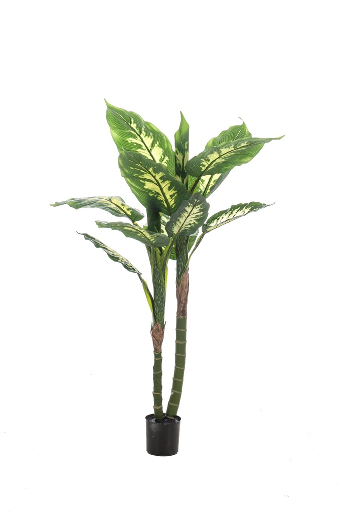 Dieffenbachia artificiel