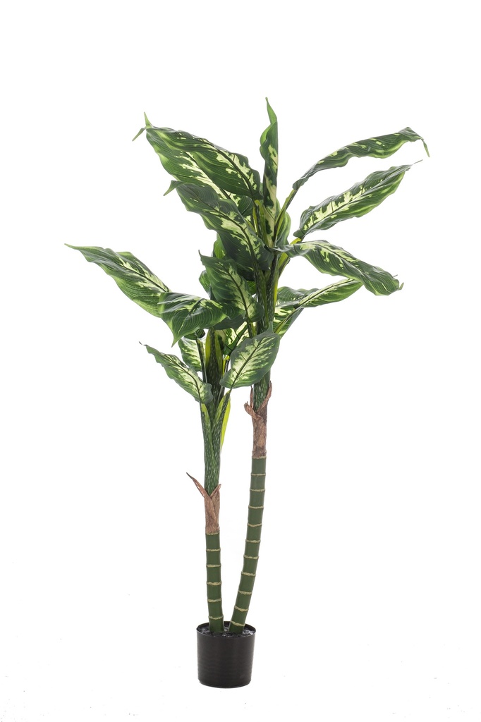 Dieffenbachia artificiel
