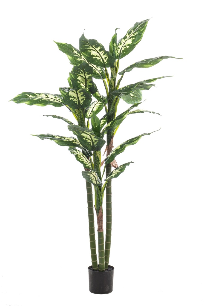 Dieffenbachia artificiel