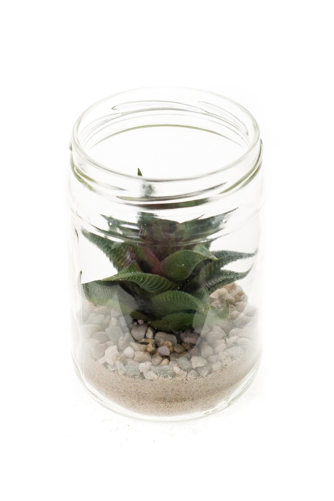 Echeveria setosa pot en verre artificiel