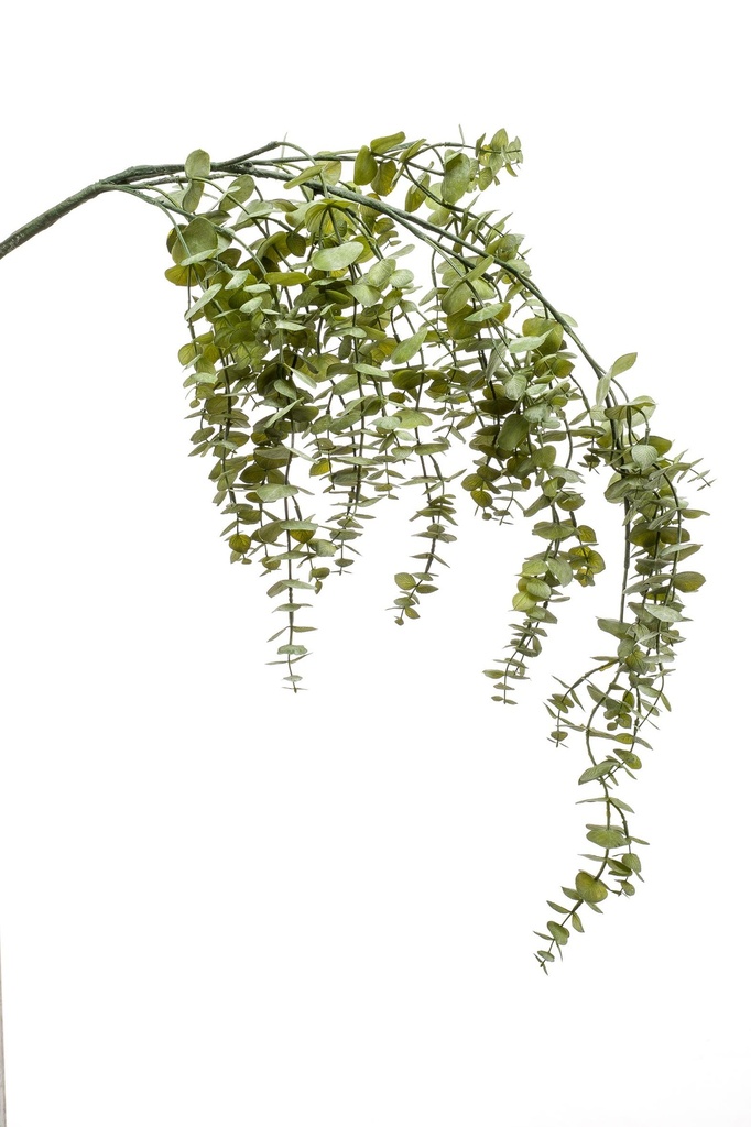 Eucalyptus retombant artificiel