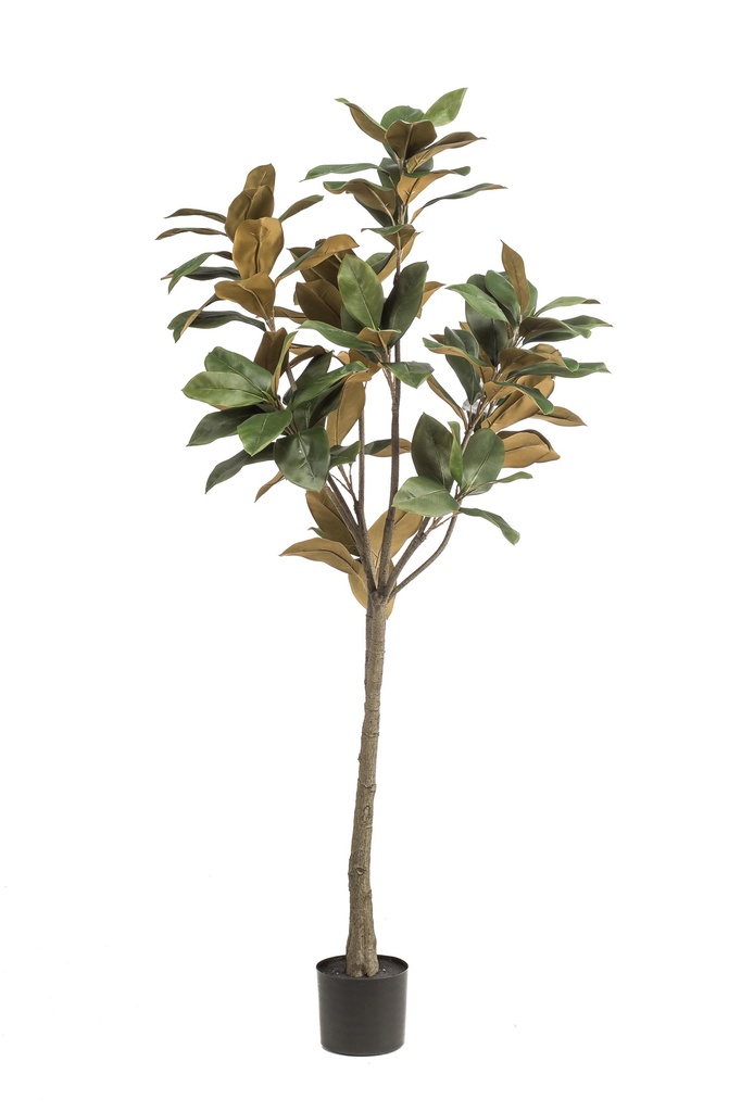 Magnolia Denudata artificiel